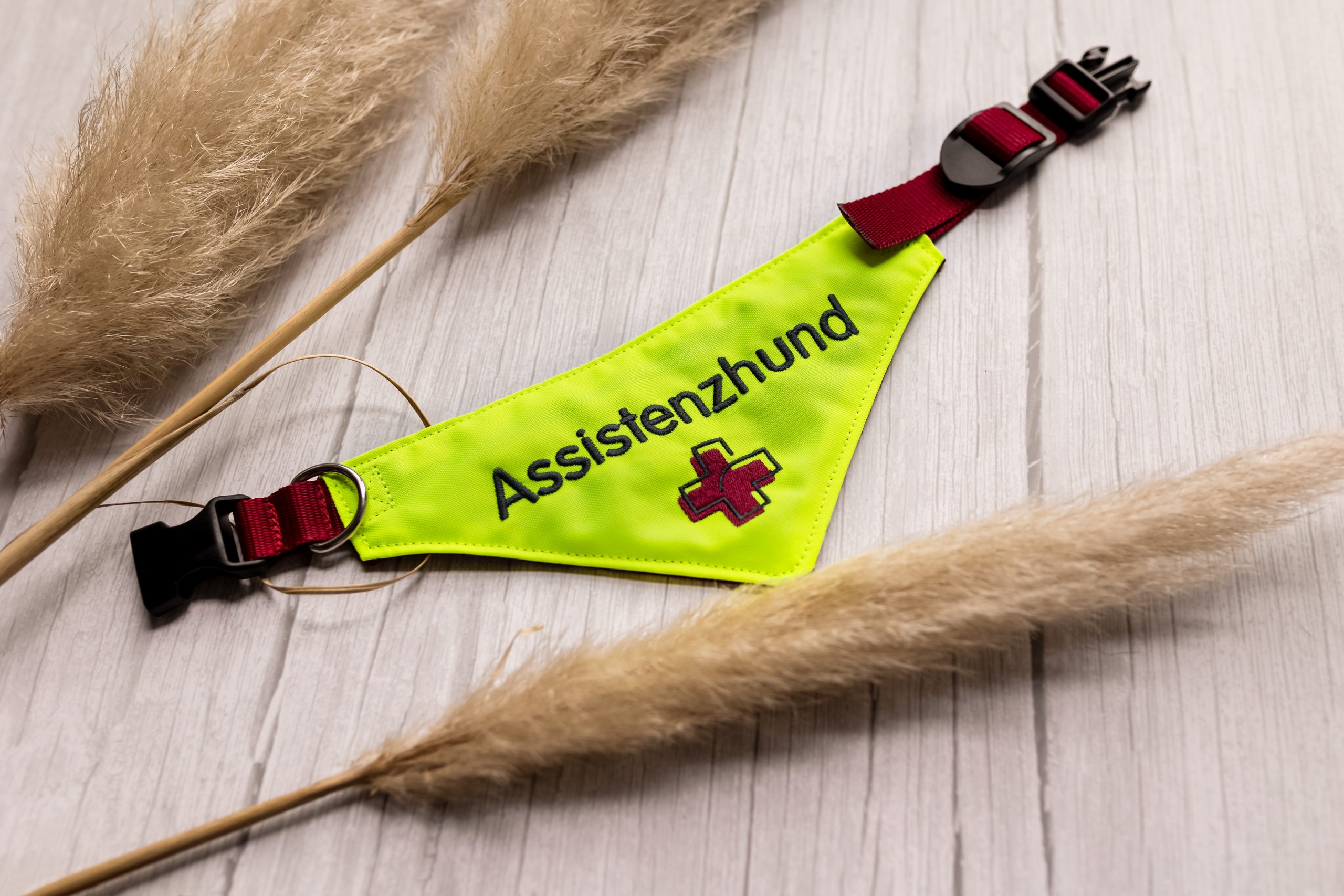 hundemantel wasserdicht Rufus´n Team Winter-Kleidung Hundemantel für mittel und große Hunde au –  Rufus'n Team Shop